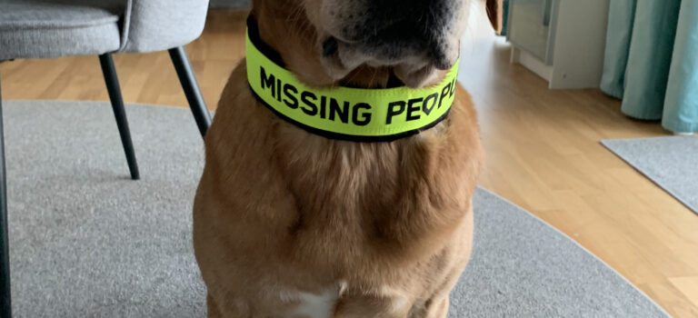 Hundträning Missing People